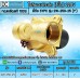 โซลินอยด์วาล์ว 220V (1นิ้ว) รุ่น 2W-250-25 (1") SOLENOID VALVE